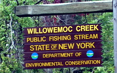 Fishing Areas - Willowemoc Creek