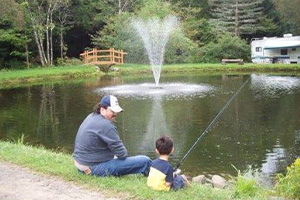 Russell Brook Campsites Fishing